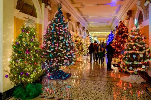 A festive hallway lined with beautifully decorated Christmas trees, twinkling lights, and visitors enjoying the display.