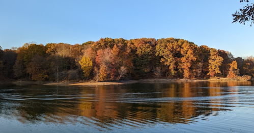 A serene lake surrounded by trees with vibrant autumn foliage under a clear blue sky.
