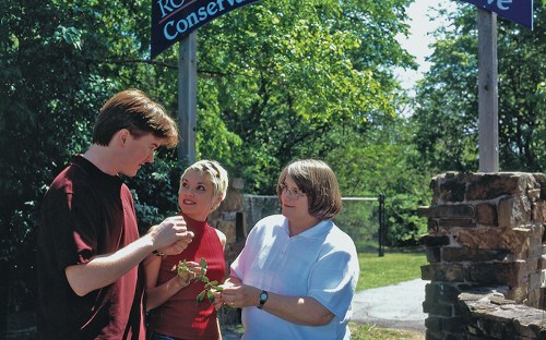 Three people discussing plants near a conservation sign, surrounded by greenery and stone structures.
