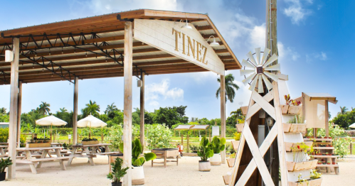 A rustic outdoor dining area with a sign reading "TINEZ," surrounded by greenery and decorative plants.