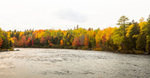 A serene river surrounded by vibrant autumn foliage in shades of red, orange, and yellow.