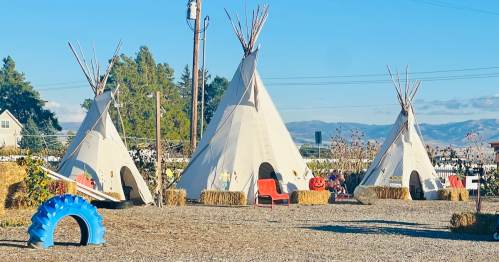 Three white teepees surrounded by hay bales, pumpkins, and a blue tire in a sunny outdoor setting.