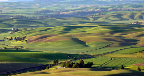 Lush green rolling hills under a clear blue sky, with patches of farmland and trees in the distance.