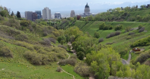 A lush green valley with trees and pathways, overlooking a city skyline and a distant dome-shaped building.