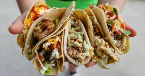 A person holding five colorful tacos filled with various ingredients like shrimp, chicken, and fresh toppings.