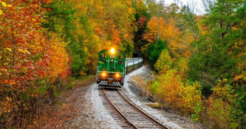 A green train travels along a winding track surrounded by vibrant autumn foliage.