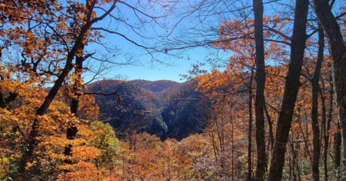 A scenic view of autumn foliage with vibrant orange leaves framing a valley and distant waterfall under a clear blue sky.