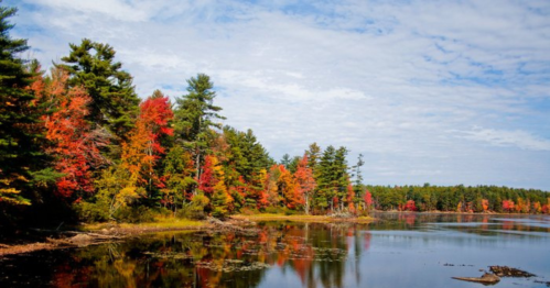 A serene lake surrounded by vibrant autumn foliage and a clear blue sky, reflecting the colorful trees.