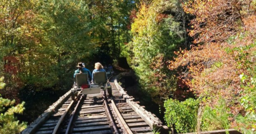 Two people ride a rail bike on an old track surrounded by vibrant autumn foliage.