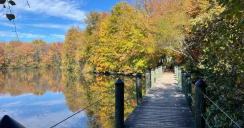 A wooden walkway leads to a calm lake, surrounded by vibrant autumn foliage and a clear blue sky.