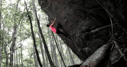 A climber in a pink shirt ascends a large rock in a forested area, surrounded by trees.