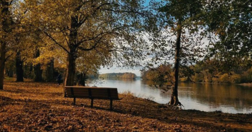 A serene riverside scene with autumn foliage, a bench, and calm water reflecting the sky.