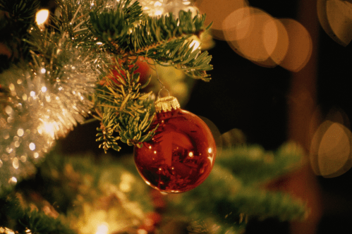 A close-up of a red Christmas ornament hanging from a pine branch, with soft, blurred lights in the background.