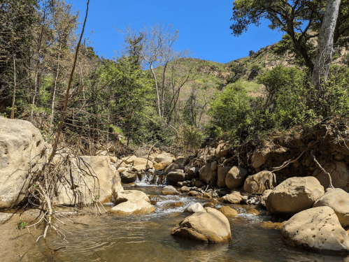 A serene river flows through a rocky landscape, surrounded by trees and hills under a clear blue sky.