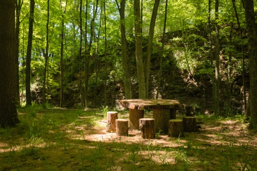 A rustic wooden table surrounded by log stools in a sunlit forest clearing. Lush green trees in the background.
