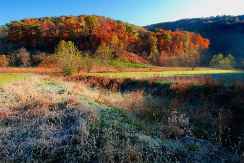 A vibrant autumn landscape with colorful trees, frosty grass, and a serene field under a clear blue sky.