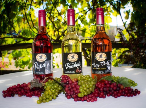 Three bottles of wine labeled "Papa," "Little Punkin'," and "Sassy Candy" displayed with grapes on a table outdoors.