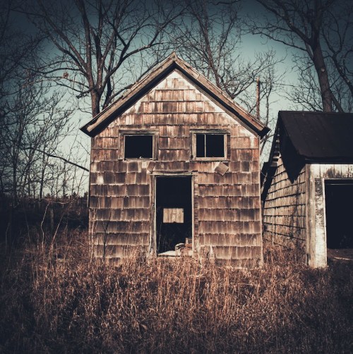 An abandoned wooden house with a weathered exterior, surrounded by tall grass and bare trees under a moody sky.
