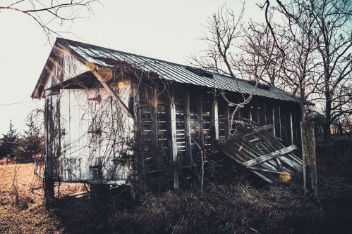 An old, weathered barn with a slanted roof, surrounded by bare trees and overgrown grass in soft sunlight.