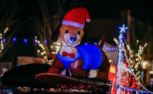 A festive inflatable dog in a Santa hat and blue outfit, sitting on a car roof, surrounded by holiday lights.