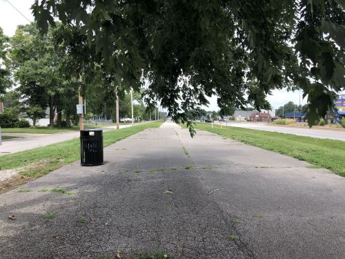 A view of a deserted, overgrown pathway lined with trees and a trash can, leading into the distance.