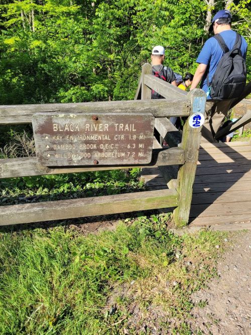 Sign for Black River Trail with distance markers, surrounded by greenery and hikers approaching a wooden bridge.