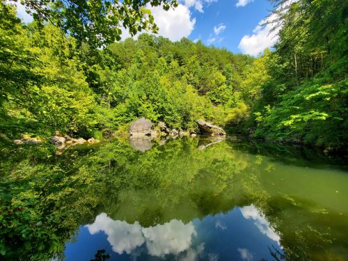 A serene pond surrounded by lush green trees, reflecting the blue sky and clouds above.
