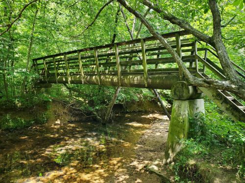 A wooden footbridge spans a shallow creek, surrounded by lush green trees and foliage.