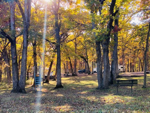 A serene forest scene with vibrant autumn leaves, sunlight filtering through trees, and a campsite in the background.