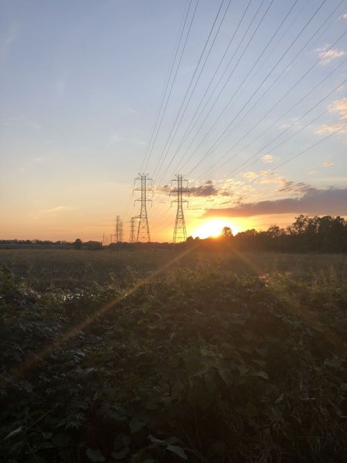 Sunset over a field with power lines silhouetted against the colorful sky.