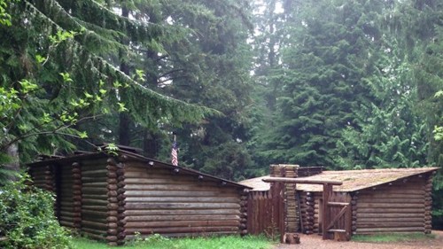 A rustic log cabin surrounded by tall green trees in a misty forest setting.