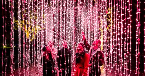 A group of five people stands under a canopy of pink and white lights, looking up in awe.