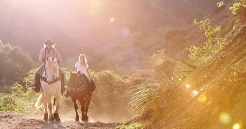 Two riders on horseback travel along a sunlit trail, surrounded by lush greenery and a warm, golden glow.