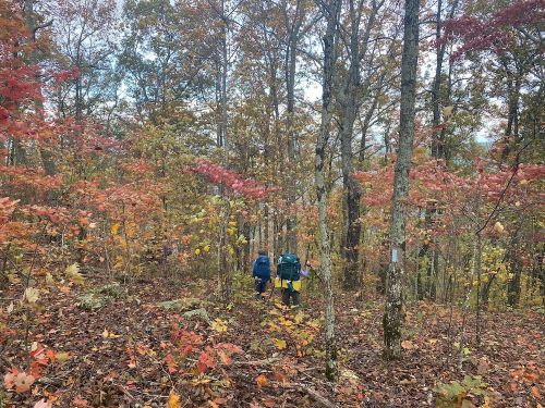 Two hikers with backpacks walk through a colorful autumn forest filled with red and orange leaves.