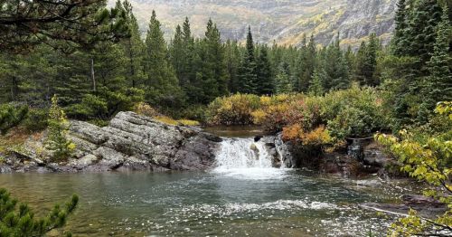 A serene forest scene featuring a small waterfall cascading into a tranquil pool, surrounded by lush greenery and mountains.