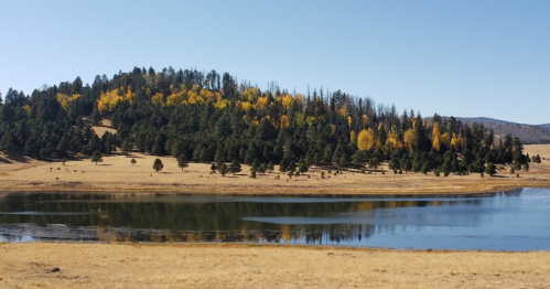 A serene landscape featuring a calm lake, surrounded by a forested hill with autumn-colored trees under a clear blue sky.