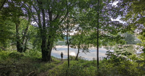 A person stands by a serene lake surrounded by lush green trees and foliage, reflecting the calm water.