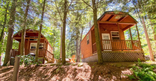 Two cozy wooden cabins nestled among tall trees, with porches and a serene forest backdrop.