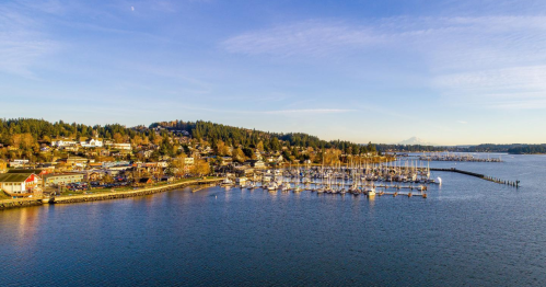 A scenic view of a marina with boats, surrounded by trees and hills under a clear blue sky.