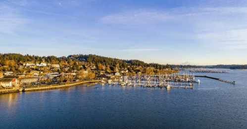 A scenic view of a marina with boats, surrounded by trees and hills under a clear blue sky.