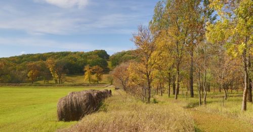 A scenic landscape featuring rolling hills, autumn trees, and hay bales in a grassy field under a clear blue sky.
