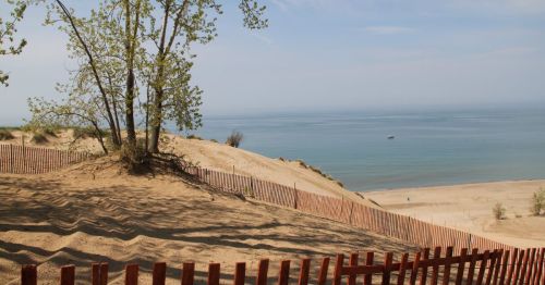 A sandy dune with a tree overlooks a calm lake, with a wooden fence and a beach in the distance under a clear sky.