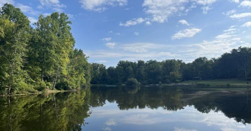 A serene lake surrounded by lush green trees under a clear blue sky, reflecting the landscape on the water's surface.