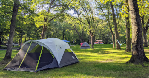 A campsite with tents set up among green trees and grass, with hammocks and a peaceful outdoor atmosphere.