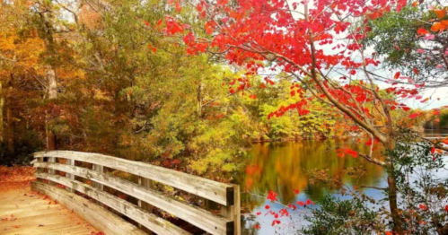 A wooden bridge over a calm lake surrounded by vibrant autumn foliage in shades of red, orange, and yellow.