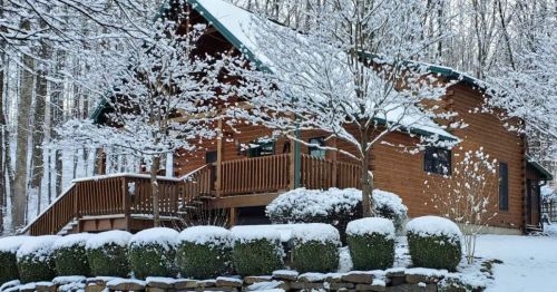 A cozy wooden cabin surrounded by snow-covered trees and shrubs, creating a serene winter scene.