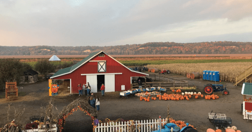 A red barn surrounded by pumpkins, tractors, and people, with autumn foliage in the background.