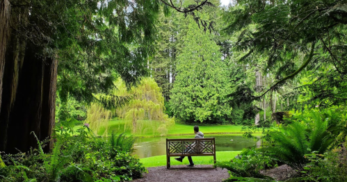 A person sits on a bench in a lush green park, surrounded by trees and a serene pond.