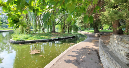 A serene park scene featuring a winding path beside a calm pond, surrounded by lush greenery and trees.