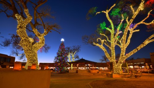 A festive scene featuring a brightly lit Christmas tree surrounded by illuminated trees at dusk.